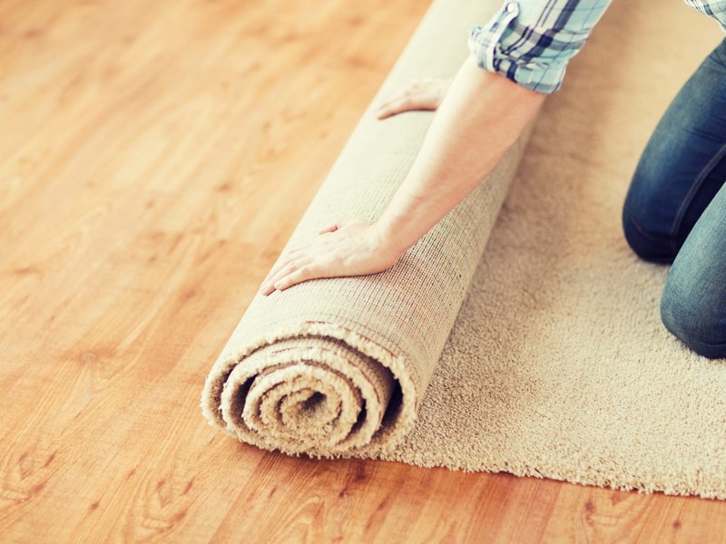 Luxurious carpet in Chicopee, MA from Baystate Rug Distributors