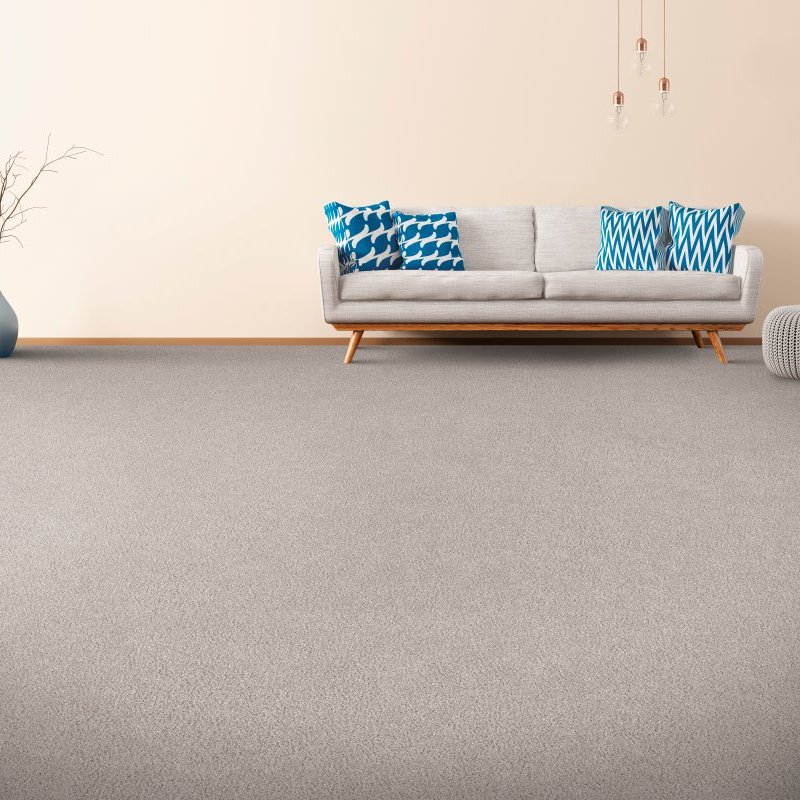 Baystate Rug & Flooring providing stain-resistant pet proof carpet in Chicopee, MA - Chic Features